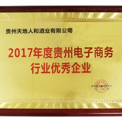 2017年度贵州电子商务行业优秀企业